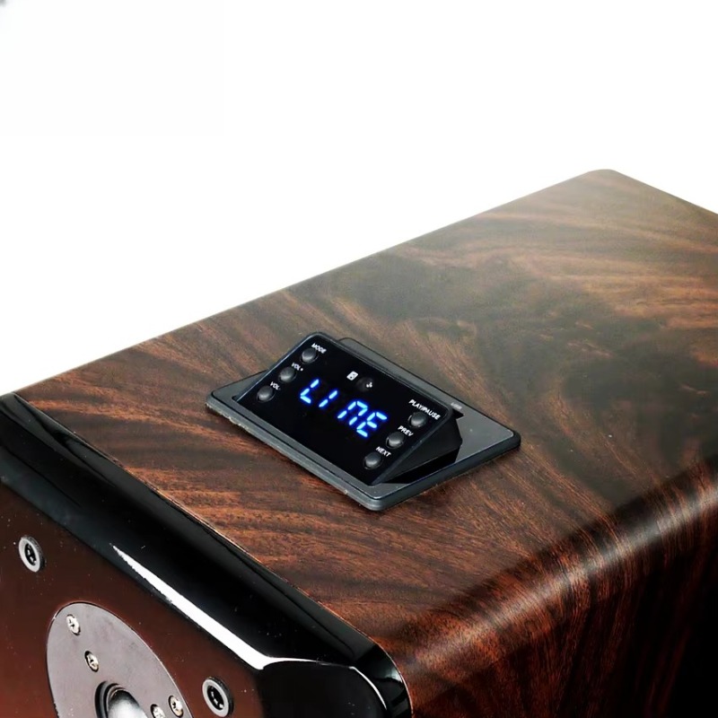 High Performance Active Karaok - Audio Music Dj ulasan dan harga